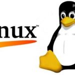 리눅스 종류 (Root of Linux)