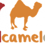 Amazon low price (camel) – 아마존 최저가 낙타