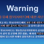 불법 유해 정보 사이트 차단 접속 방법 (warning.or.kr)