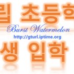 2019 전국 사립초등학교 신입생 원서접수 일정