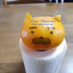 카카오톡 라이언 귤 Kakao talk lion mandarine